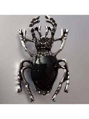Beetle Bug Brooch   Just Amazing Must have not for the Girly Girl